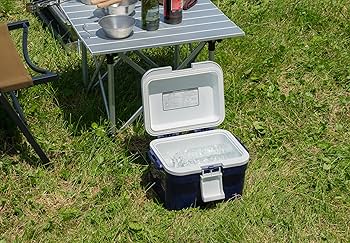 クレ・ド・ポー ボーテ ル・ブール プレシャス 4g4番 ケース付 楽天市場】JEJアステージ フタが外せてお手入れ簡単 クーラー